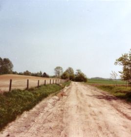 wegaugustwalde85-78.jpg